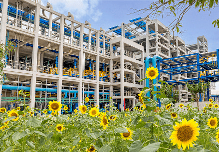 汇赢国际官方网站建设
